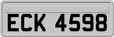 ECK4598