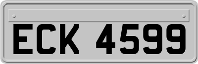 ECK4599