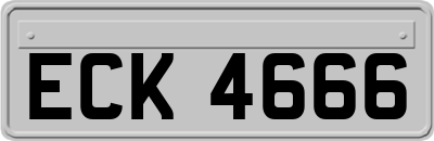 ECK4666