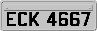 ECK4667