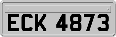 ECK4873