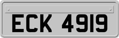 ECK4919
