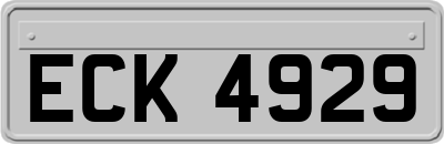 ECK4929