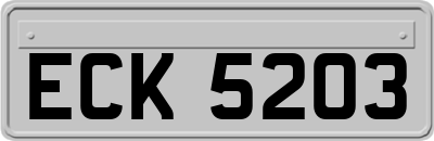 ECK5203