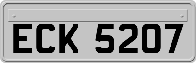 ECK5207