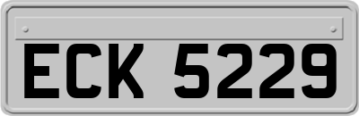 ECK5229
