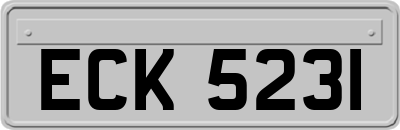 ECK5231