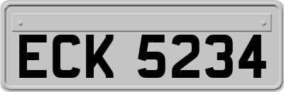 ECK5234