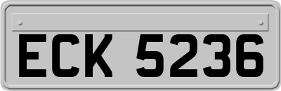 ECK5236
