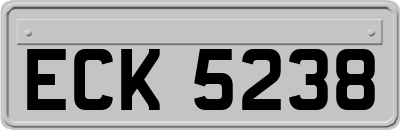 ECK5238