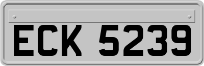ECK5239