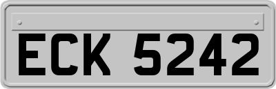 ECK5242