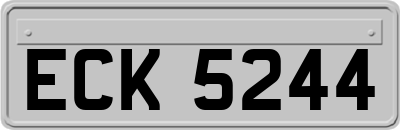 ECK5244
