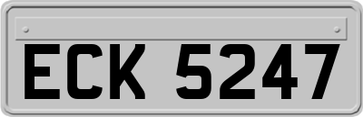 ECK5247