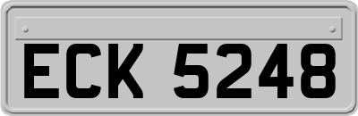 ECK5248