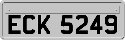 ECK5249