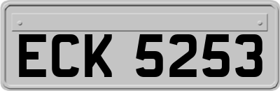 ECK5253