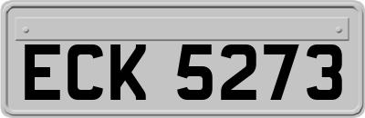 ECK5273