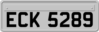 ECK5289