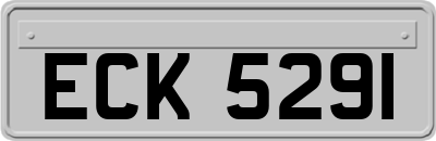ECK5291