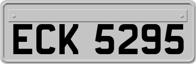 ECK5295