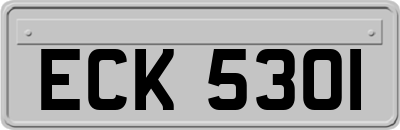 ECK5301