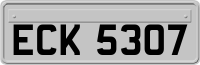 ECK5307