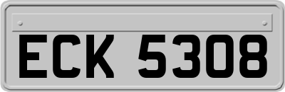 ECK5308