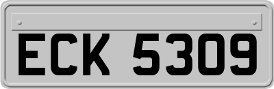 ECK5309