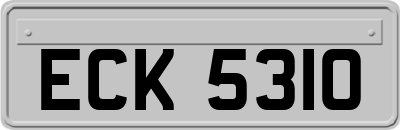 ECK5310