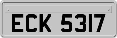 ECK5317