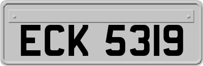 ECK5319