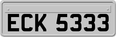 ECK5333