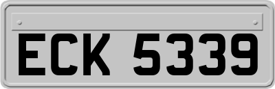 ECK5339