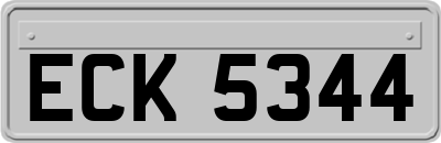 ECK5344
