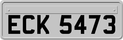 ECK5473