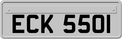 ECK5501