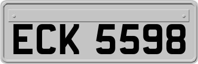 ECK5598