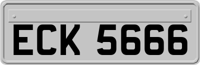 ECK5666