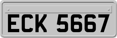ECK5667