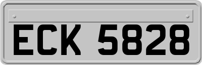 ECK5828
