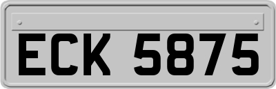 ECK5875