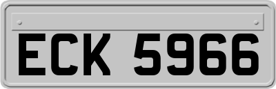 ECK5966