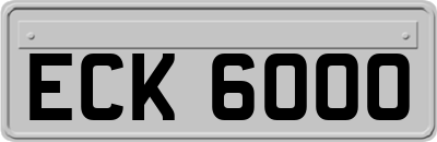 ECK6000