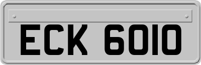 ECK6010