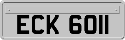 ECK6011