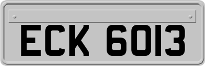 ECK6013