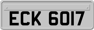ECK6017