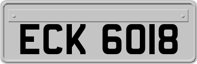 ECK6018