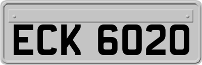 ECK6020